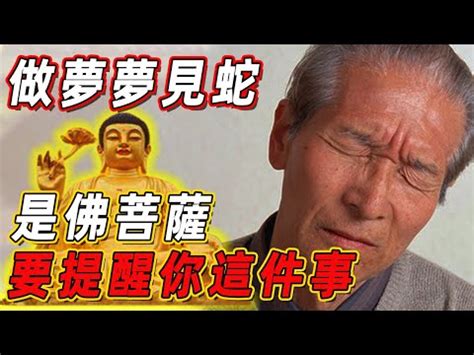 路上看見蛇|【看見蛇代表什麼】看見蛇代表什麼？民俗專家揭露傳統文化中的。